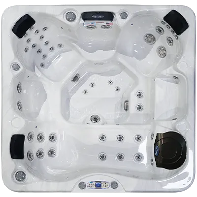 Avalon EC-849L hot tubs for sale in Augusta